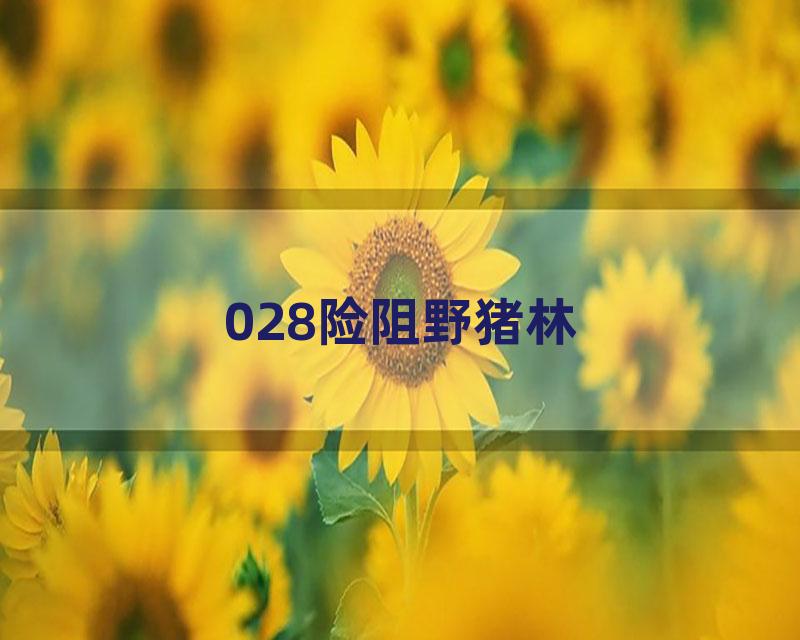 028险阻野猪林