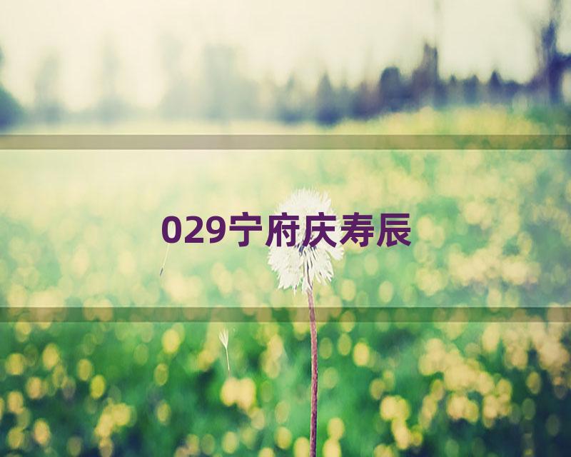 029宁府庆寿辰