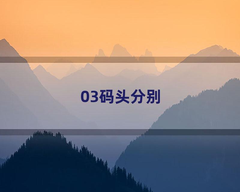 03码头分别