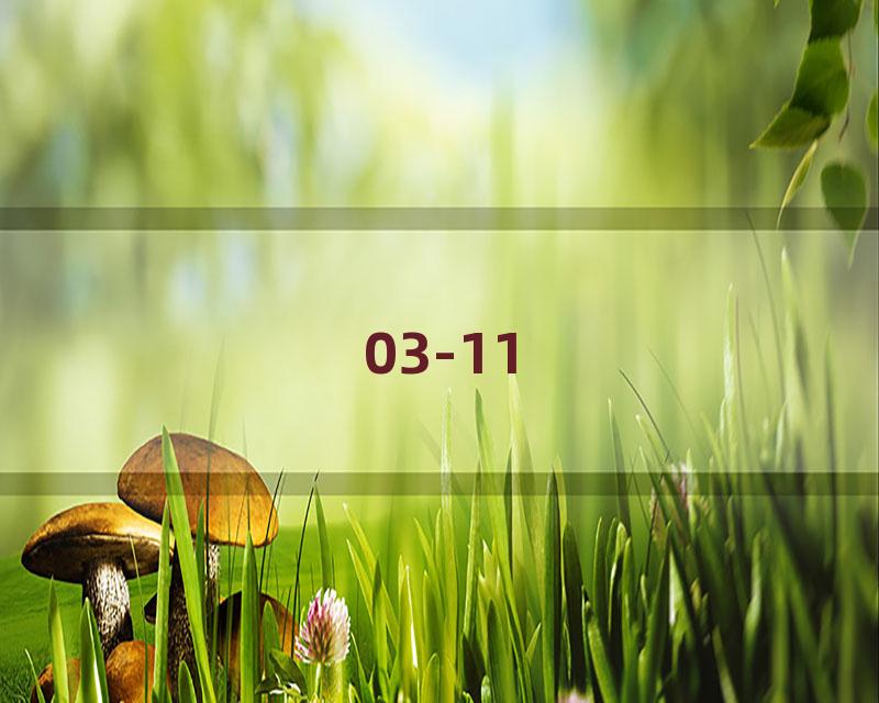 03-11