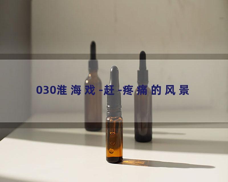 030淮海戏-赶-疼痛的风景