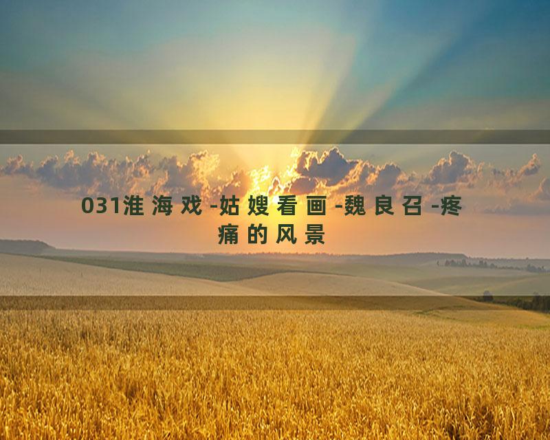 031淮海戏-姑嫂看画-魏良召-疼痛的风景