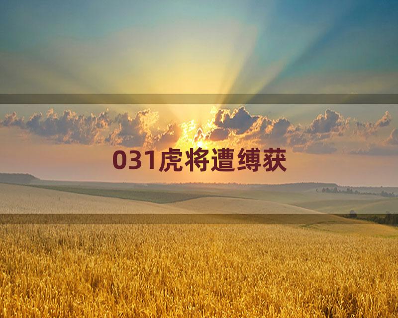031虎将遭缚获