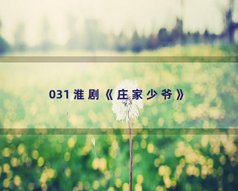 031 淮剧《庄家少爷》