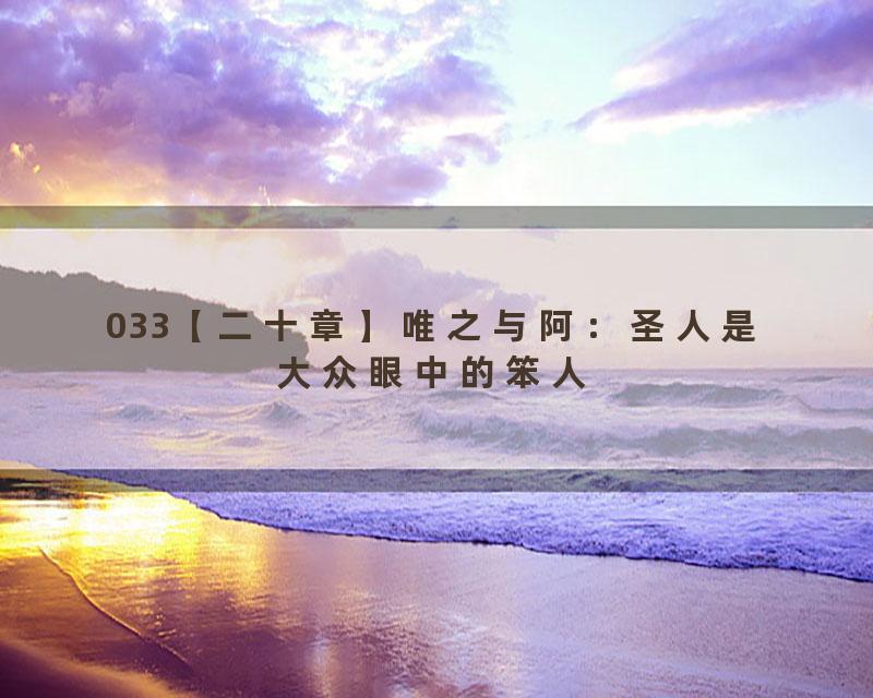 033【二十章】唯之与阿：圣人是大众眼中的笨人