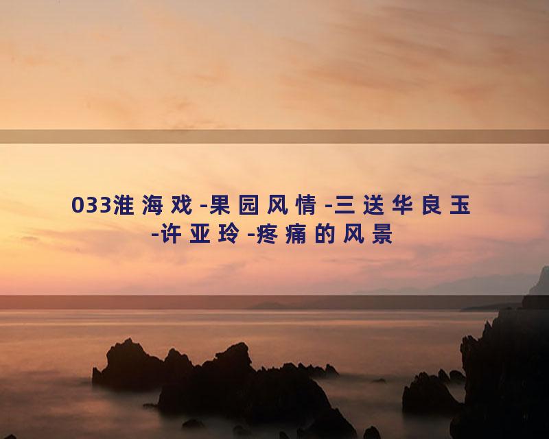 033淮海戏-果园风情-三送华良玉-许亚玲-疼痛的风景