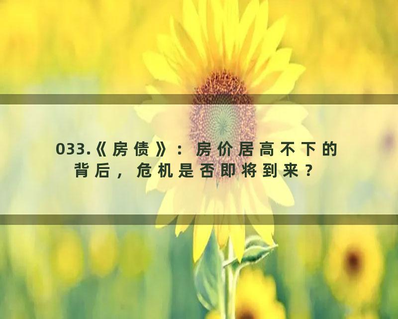 033.《房债》：房价居高不下的背后，危机是否即将到来？