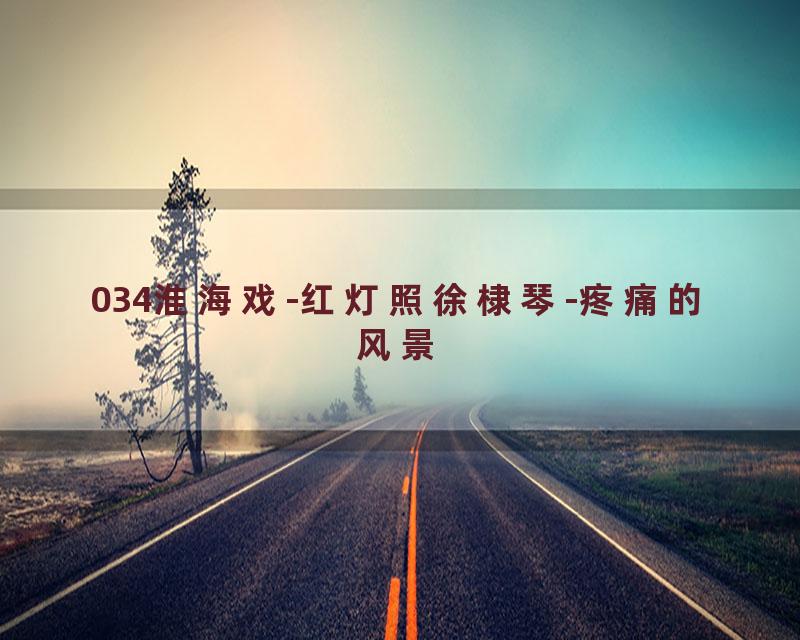 034淮海戏-红灯照徐棣琴-疼痛的风景