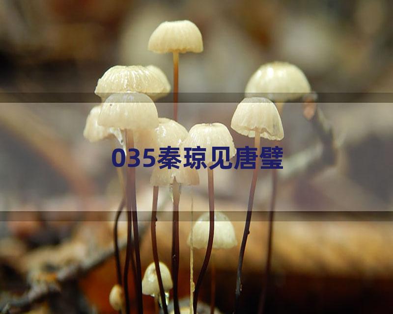 035秦琼见唐璧