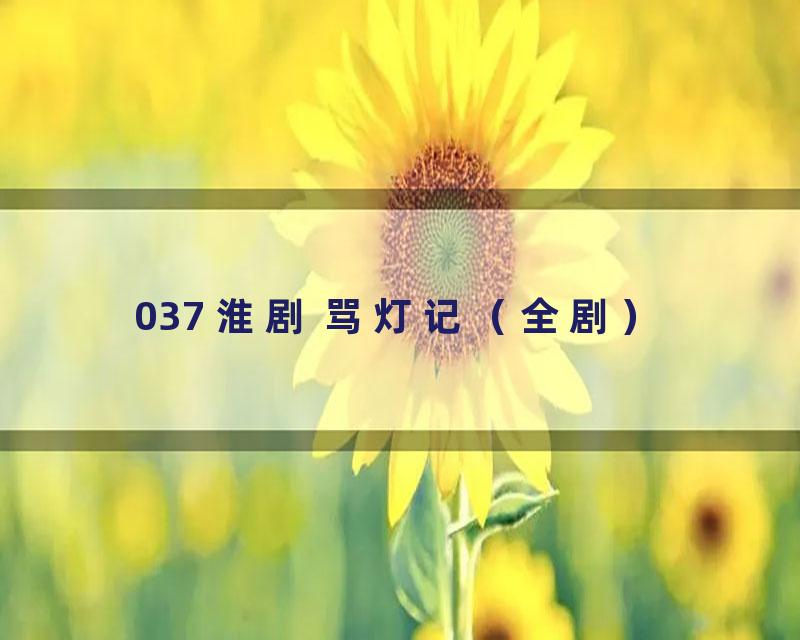 037 淮剧 骂灯记（全剧）