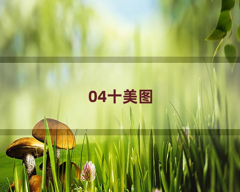 04十美图
