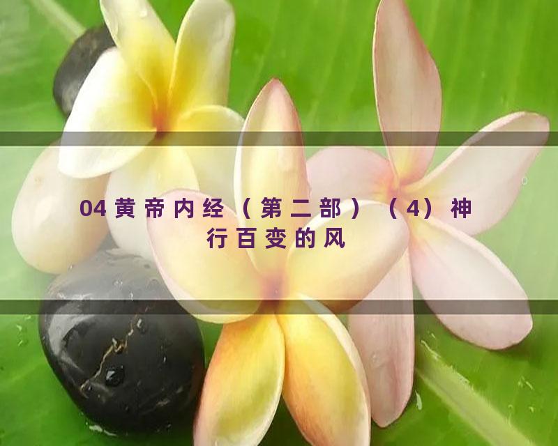 04 黄帝内经（第二部）（4）神行百变的风