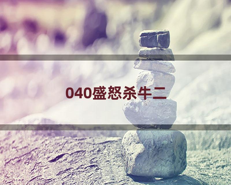 040盛怒杀牛二