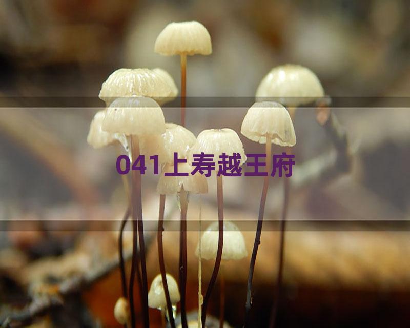 041上寿越王府