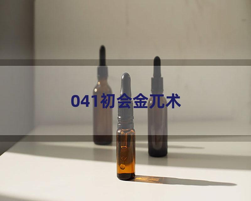 041初会金兀术