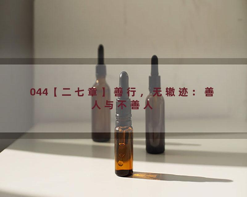 044【二七章】善行，无辙迹：善人与不善人