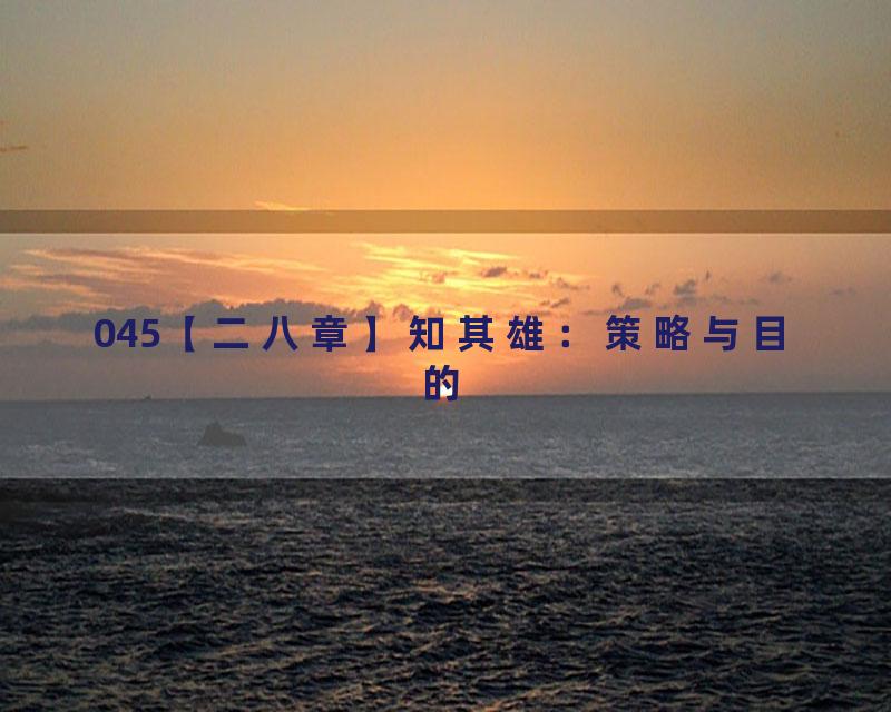 045【二八章】知其雄：策略与目的