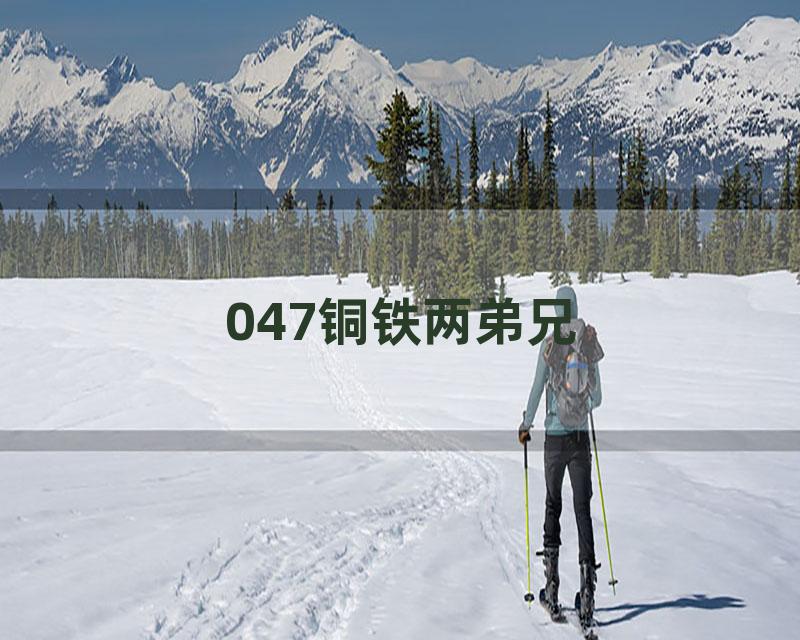 047铜铁两弟兄