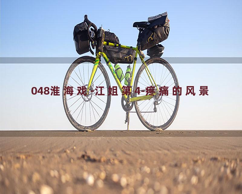 048淮海戏-江姐第4-疼痛的风景