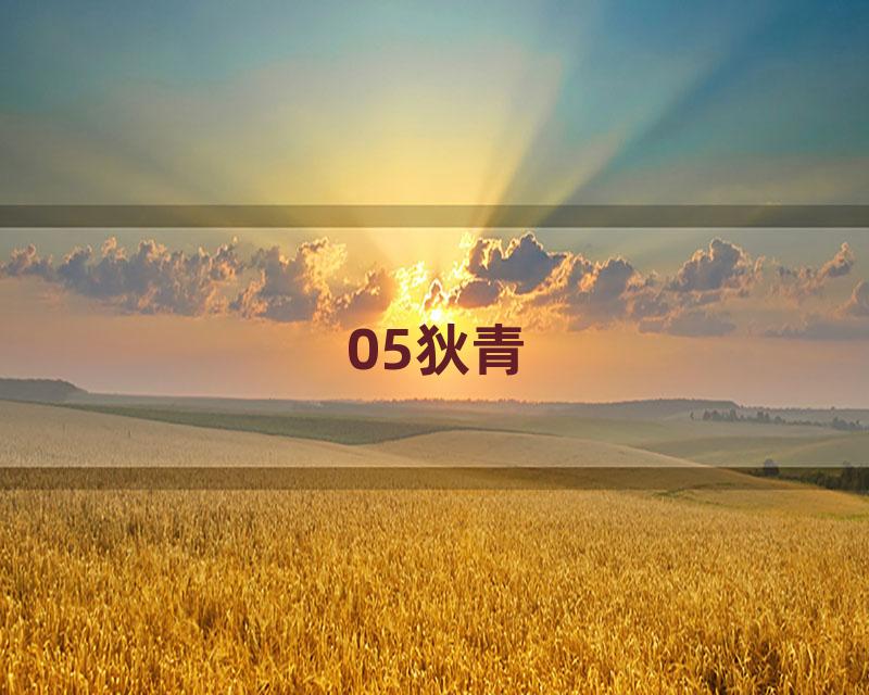 05狄青