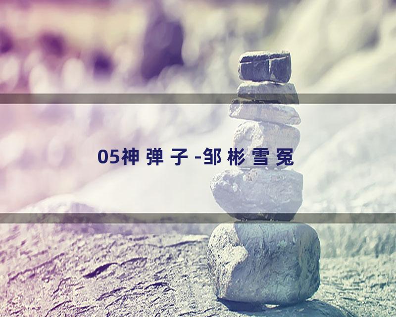 05神弹子-邹彬雪冤