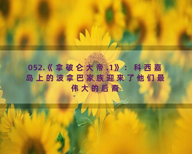 052.《拿破仑大帝.1》：科西嘉岛上的波拿巴家族迎来了他们最伟大的后裔