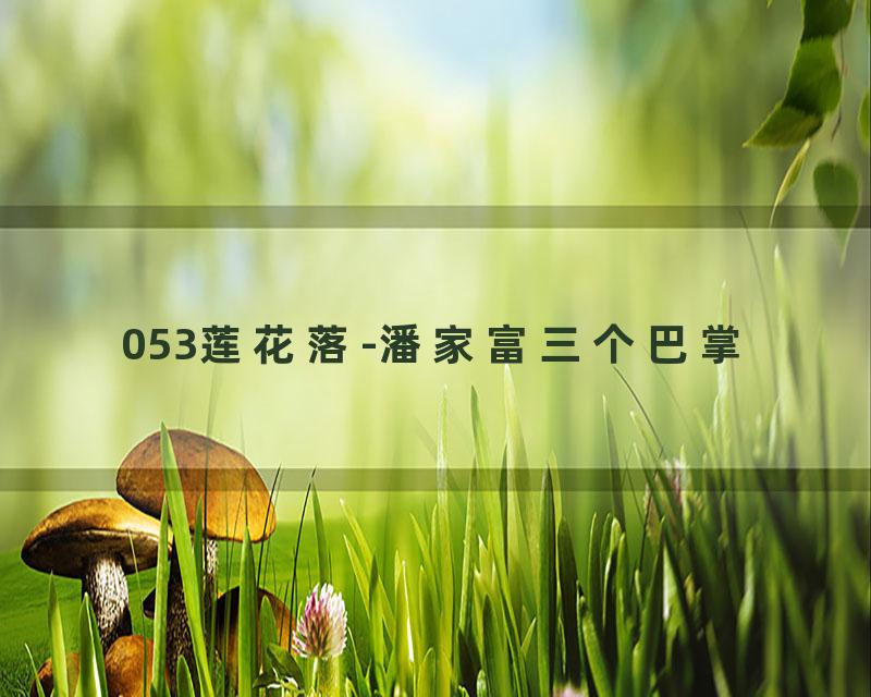 053莲花落-潘家富三个巴掌