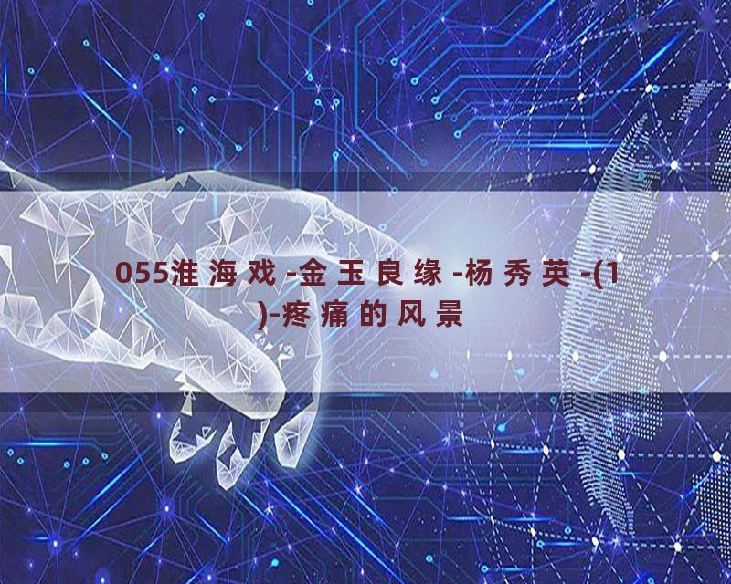 055淮海戏-金玉良缘-杨秀英-(1)-疼痛的风景