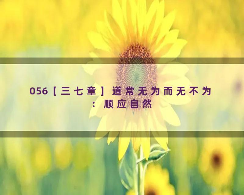 056【三七章】道常无为而无不为：顺应自然