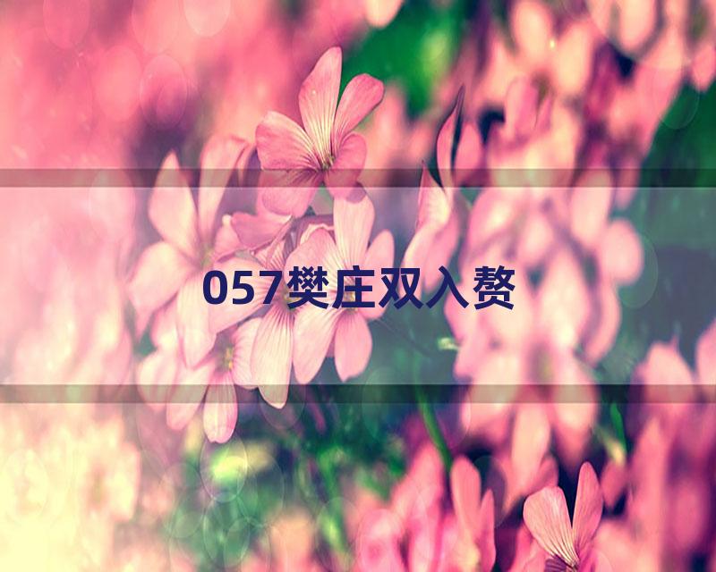 057樊庄双入赘