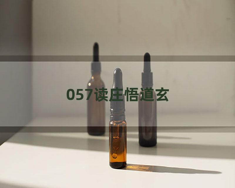 057读庄悟道玄