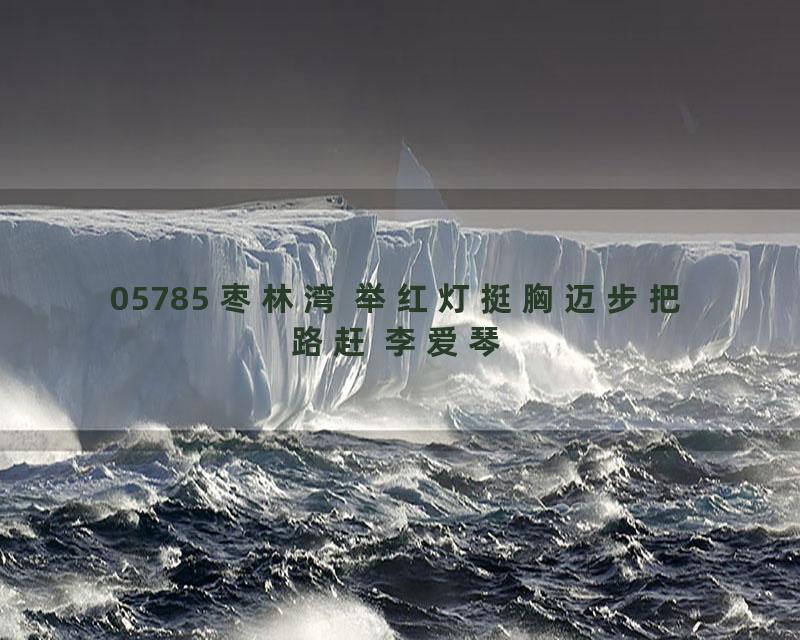 05785 枣林湾 举红灯挺胸迈步把路赶 李爱琴