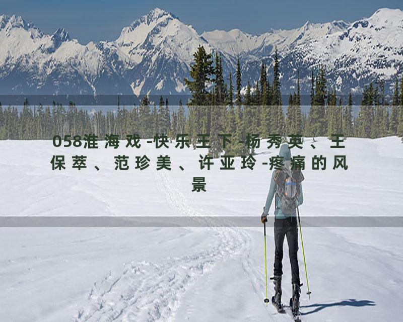058淮海戏-快乐王下-杨秀英、王保萃、范珍美、许亚玲-疼痛的风景