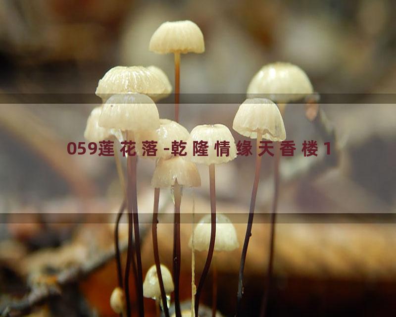 059莲花落-乾隆情缘天香楼1