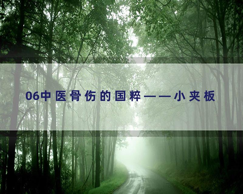 06中医骨伤的国粹——小夹板