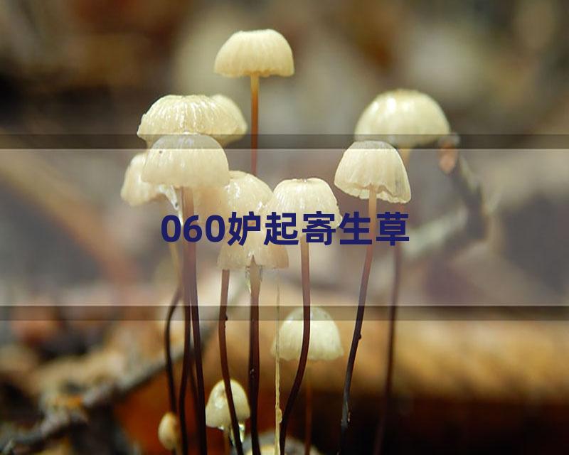 060妒起寄生草