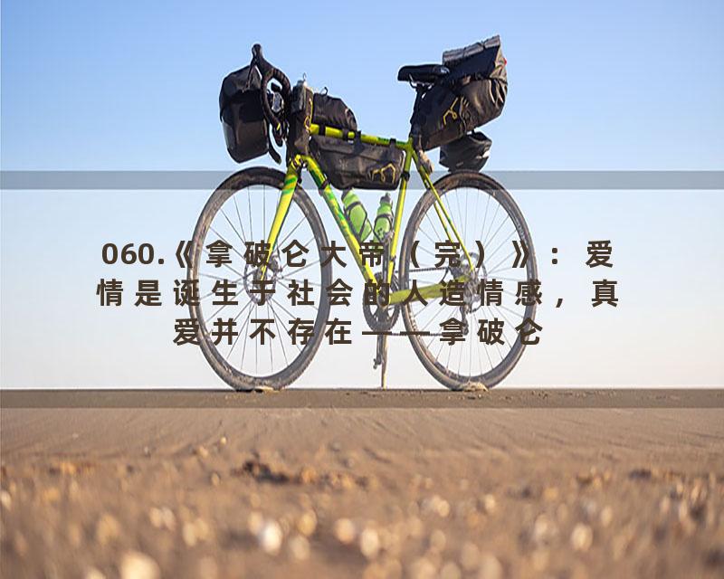 060.《拿破仑大帝（完）》：爱情是诞生于社会的人造情感，真爱并不存在——拿破仑
