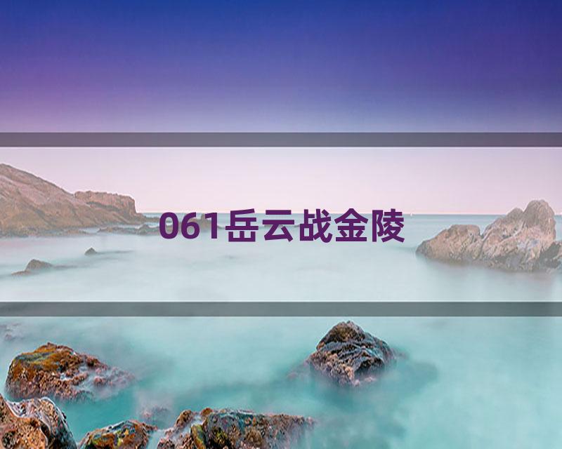 061岳云战金陵