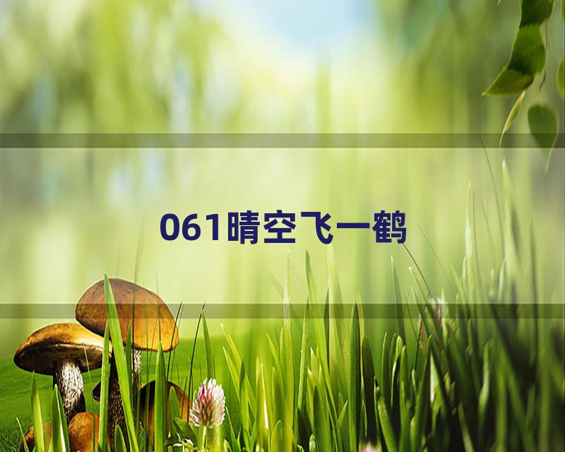 061晴空飞一鹤