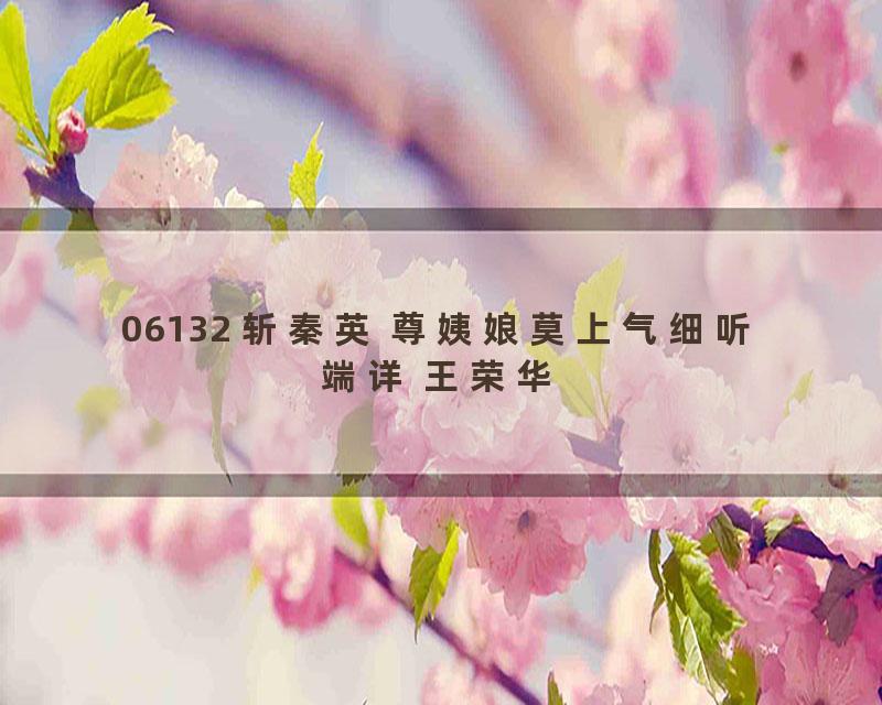 06132 斩秦英 尊姨娘莫上气细听端详 王荣华