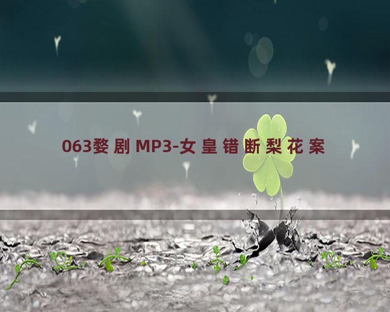 063婺剧MP3-女皇错断梨花案