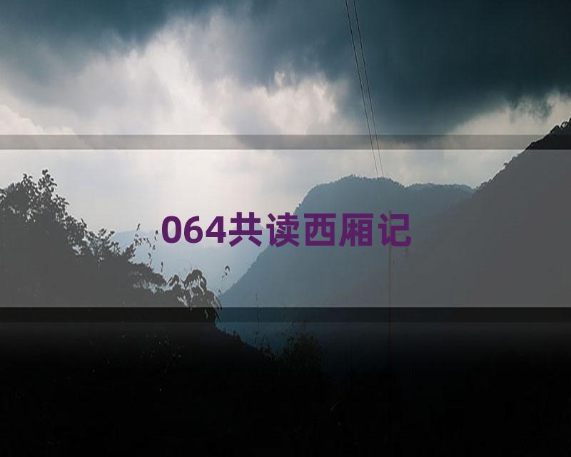 064共读西厢记