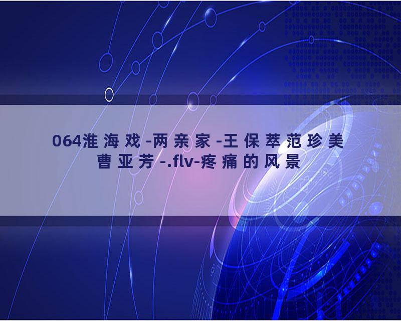 064淮海戏-两亲家-王保萃范珍美曹亚芳-.flv-疼痛的风景