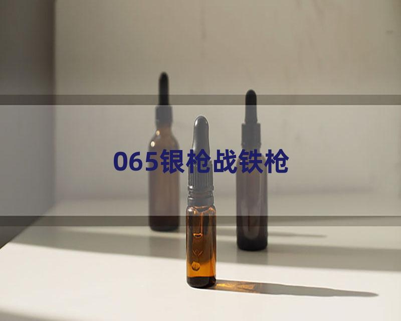 065银枪战铁枪