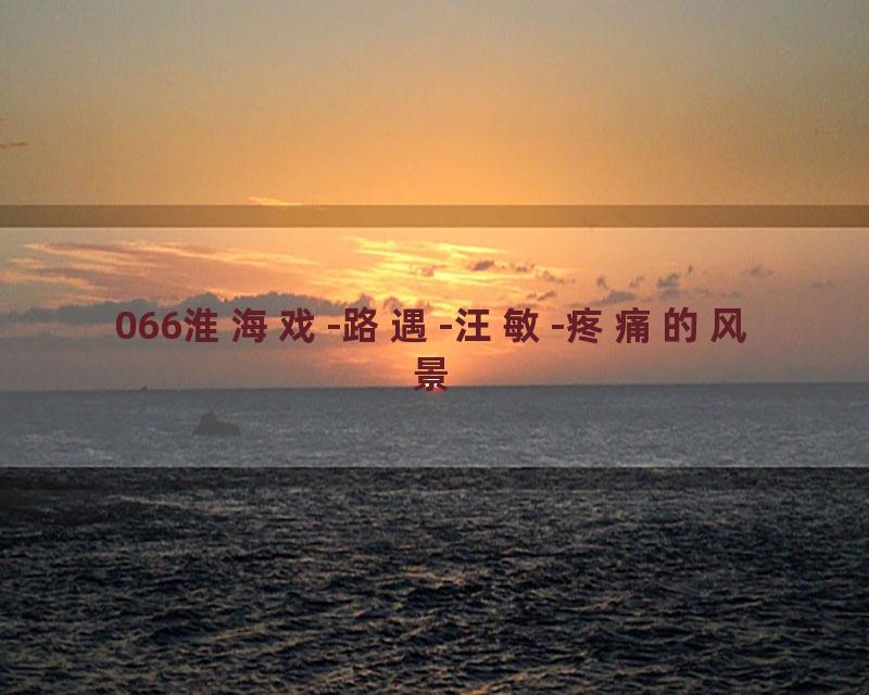 066淮海戏-路遇-汪敏-疼痛的风景