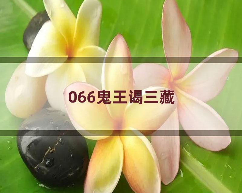 066鬼王谒三藏