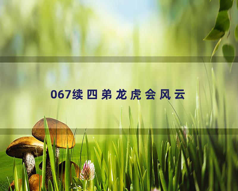 067续四弟龙虎会风云