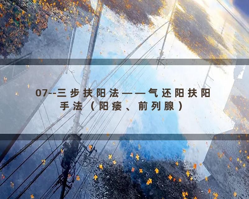 07--三步扶阳法——气还阳扶阳手法（阳痿、前列腺）