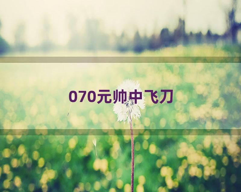 070元帅中飞刀