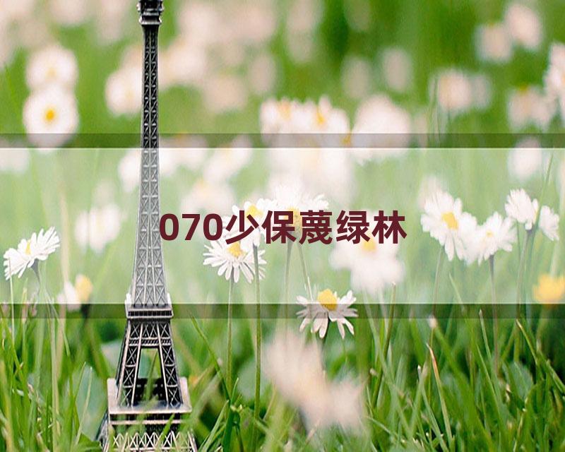 070少保蔑绿林